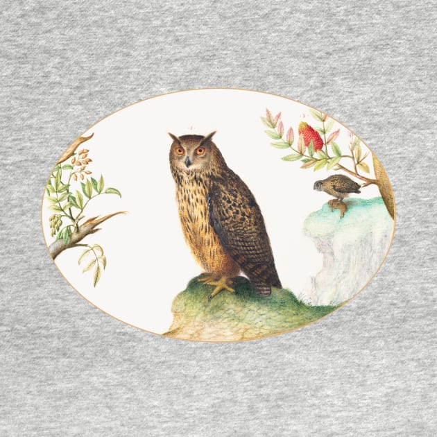 Owl with a Second in the Distance Eating a Rabbit (1575–1580) by WAITE-SMITH VINTAGE ART